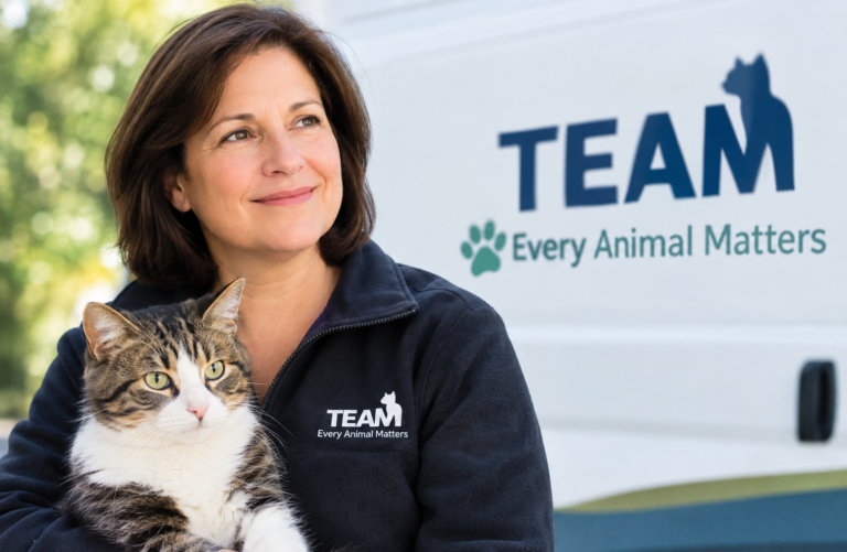 Donna Sicuranza: Biography, Career, and Animal Welfare Work